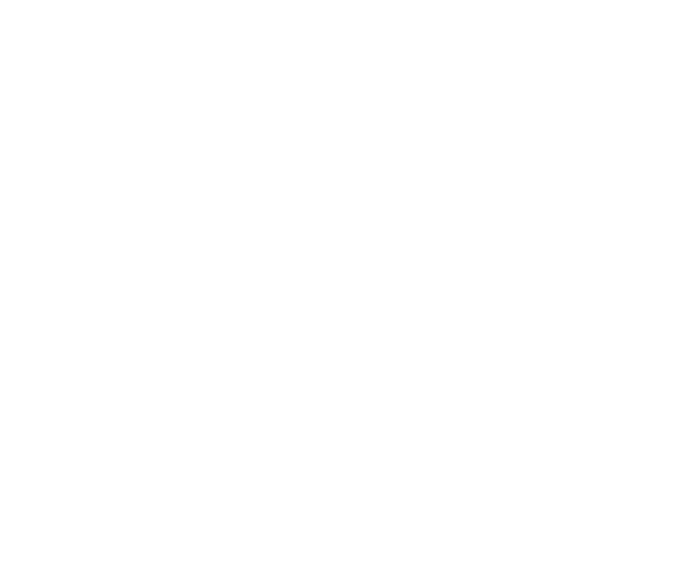 Zorn AI